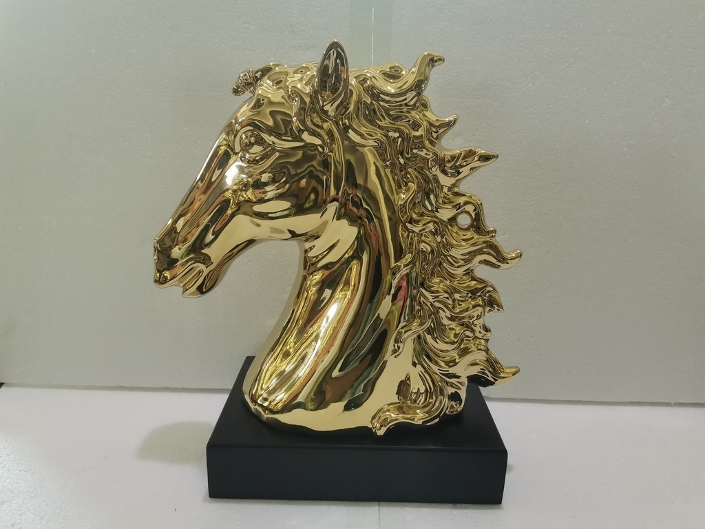 BUSTO CABALLO 209104382G