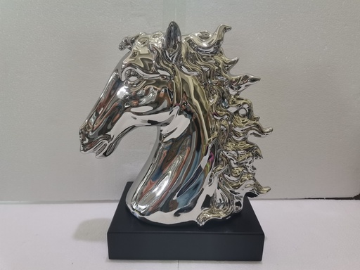 BUSTO CABALLO 209104382S