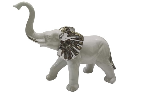 ELEFANTE 209104477WS