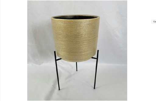 MATERA GOLDEN 247104223GL